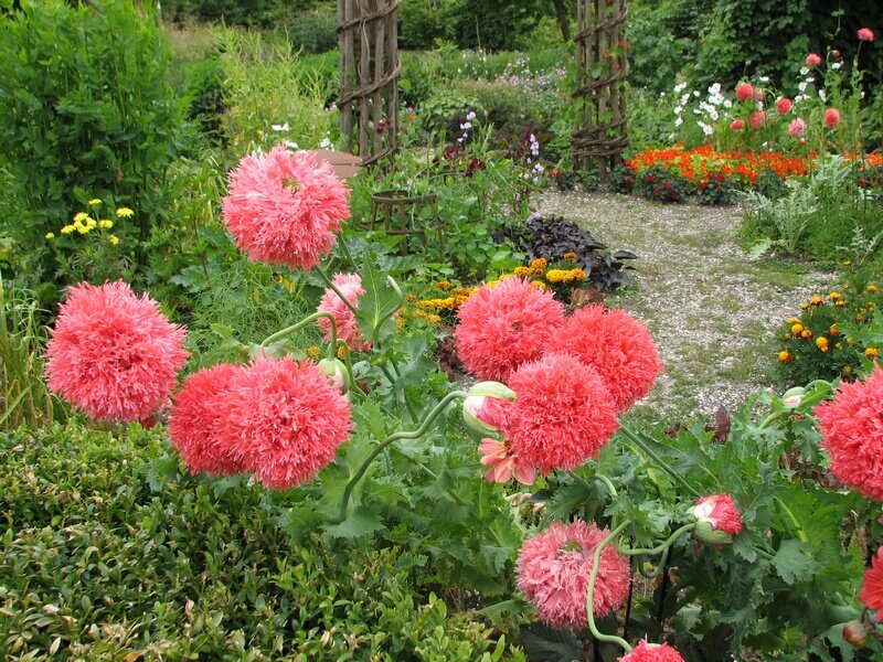 Голландский сад, Сад в голландском стиле, сады Голландии