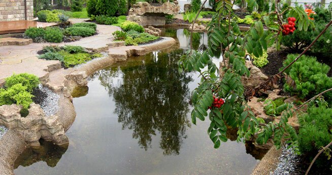Водный садик, Водопад, Каскад, Водоем в саду
